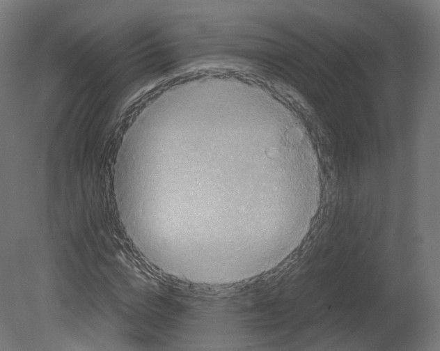 X0000080660824200701121604