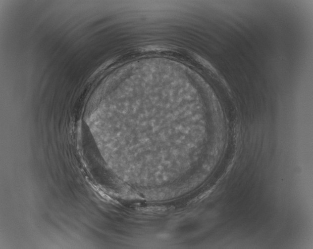 X0000080660825200701121604