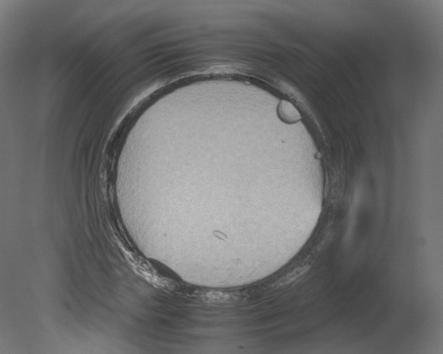 X0000080660827200701121604