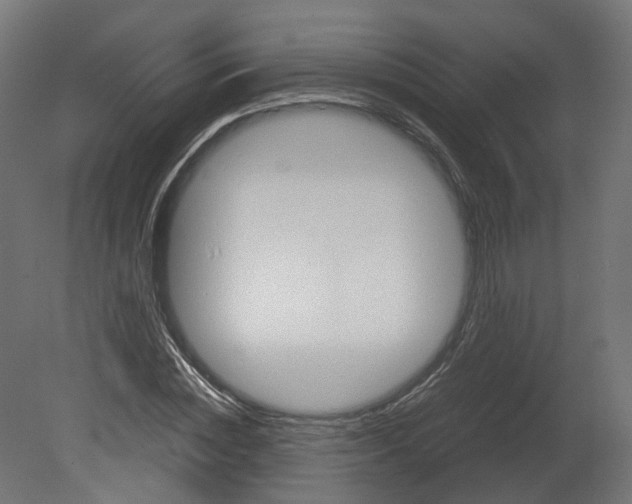 X0000080660828200701121604