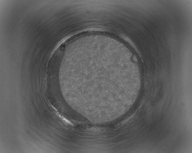 X0000080660829200701121604