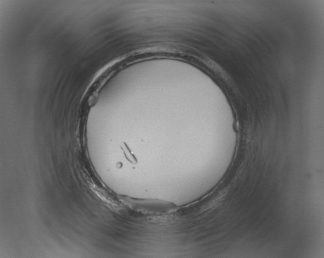 X0000080660830200701121604