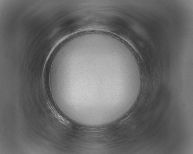 X0000080660832200701121604