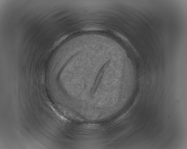 X0000080660833200701121604