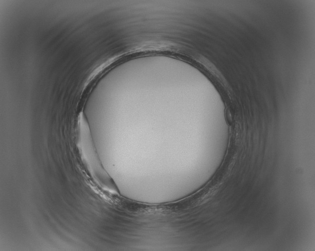 X0000080660834200701121604