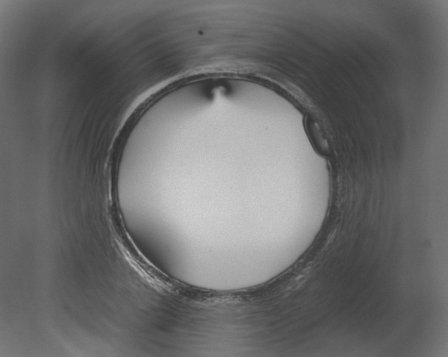 X0000080660838200701121604