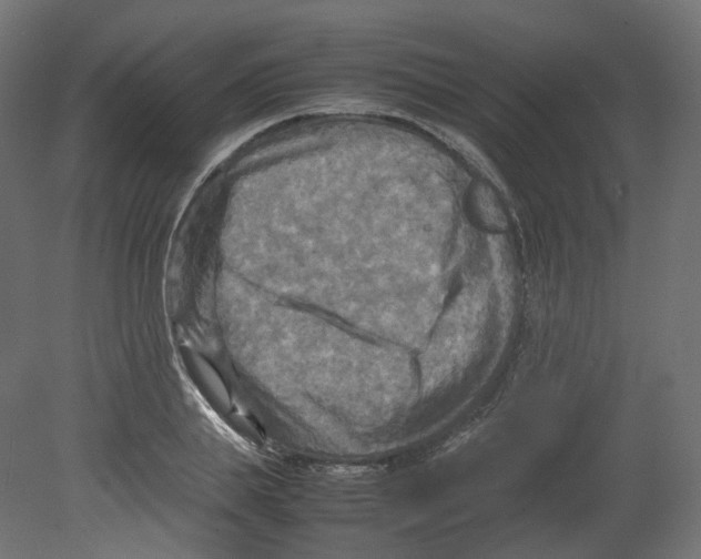 X0000080660839200701121604