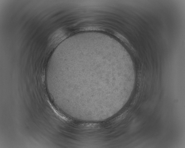 X0000080660841200701121604