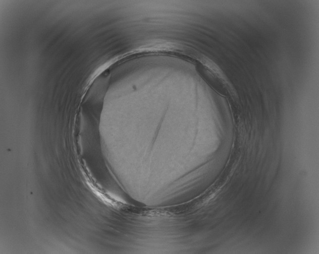 X0000080660842200701121604