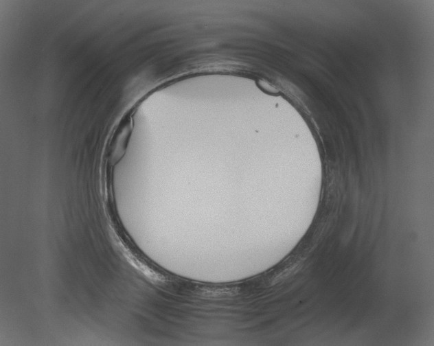 X0000080660843200701121604