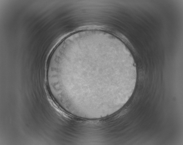 X0000080660844200701121604