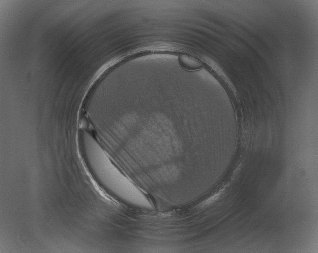 X0000080660845200701121604