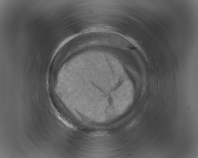 X0000080660846200701121604