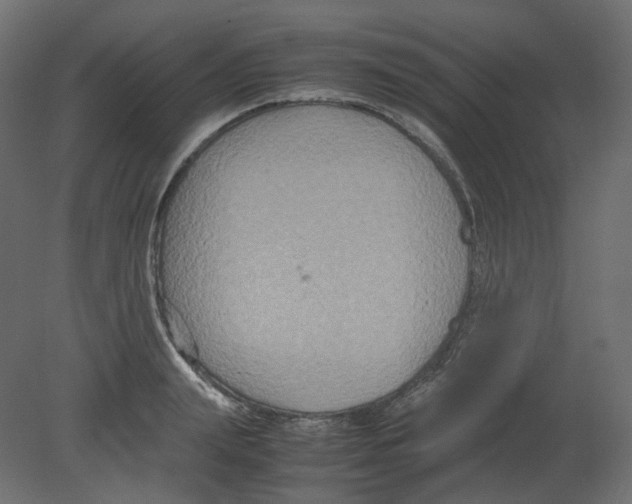 X0000080660847200701121604