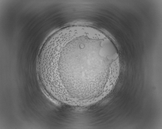 X0000080660848200701121604