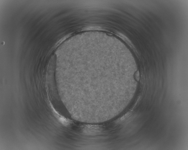 X0000080660849200701121604