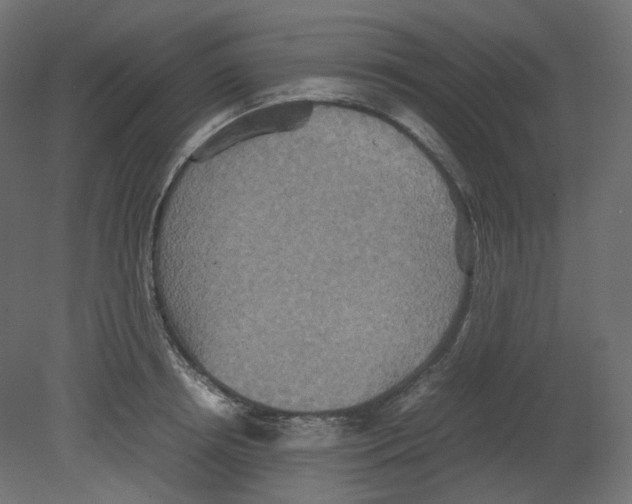 X0000080660850200701121604