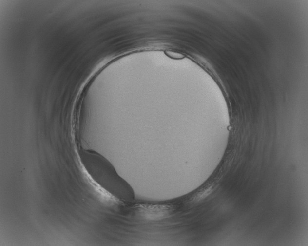 X0000080660851200701121604