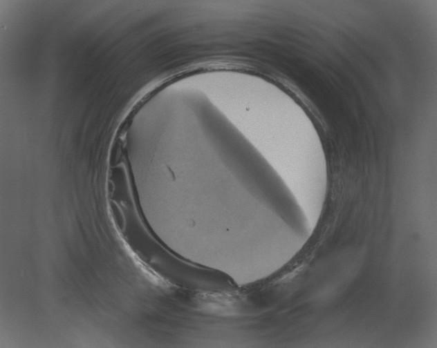 X0000080660853200701121604