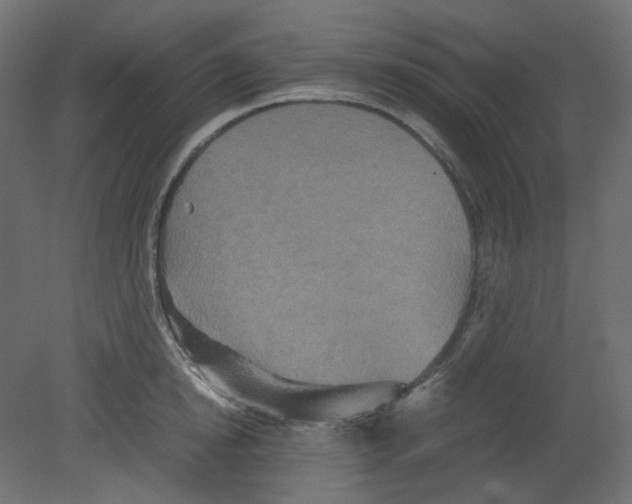 X0000080660854200701121604