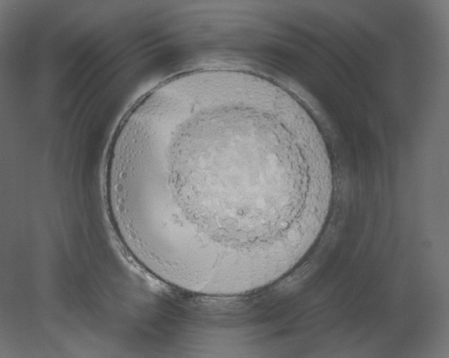 X0000080660856200701121604