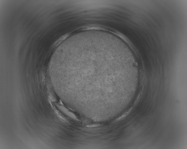 X0000080660857200701121604