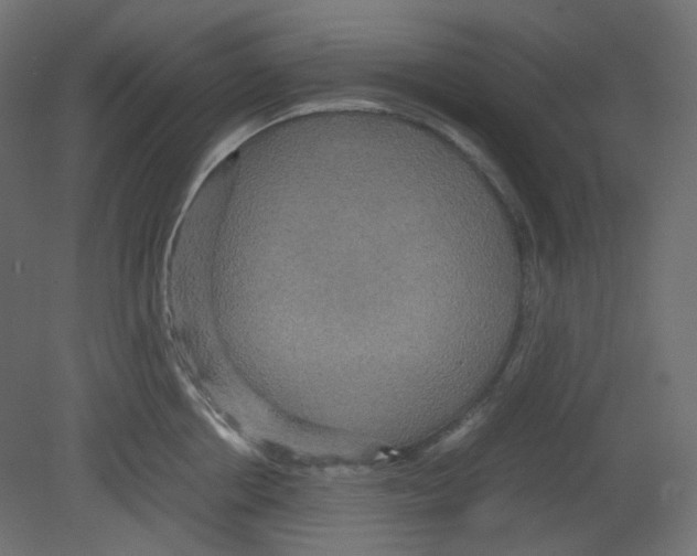 X0000080660858200701121604