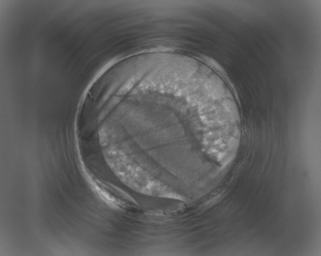 X0000080660859200701121604