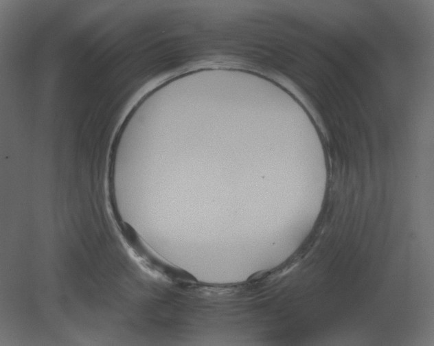 X0000080660861200701121604