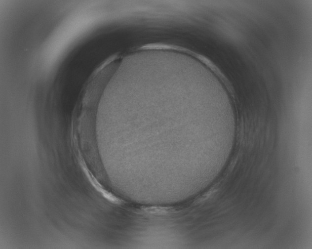 X0000080660862200701121605