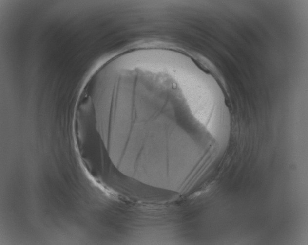 X0000080660863200701121605