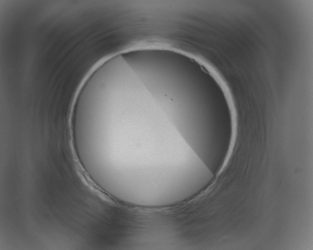 X0000080660864200701121605