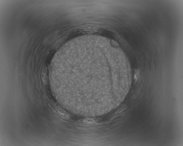 X0000080660867200701121604