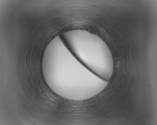 X0000080660868200701121604