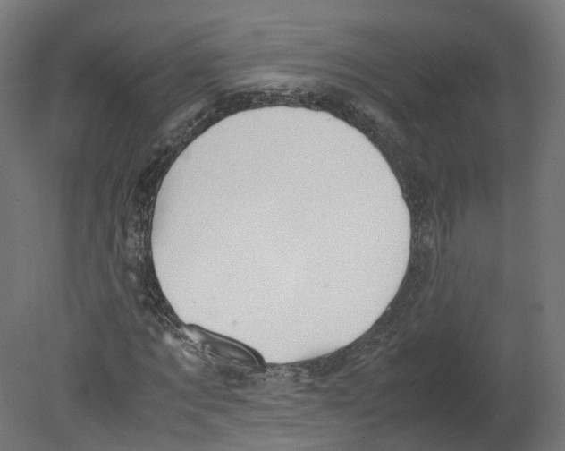 X0000080660869200701121604