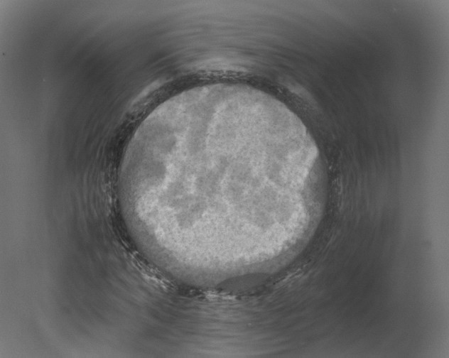 X0000080660870200701121604