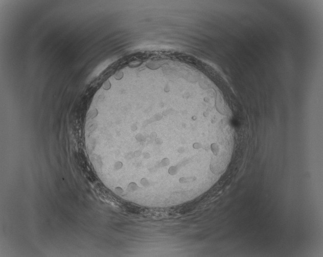 X0000080660871200701121604