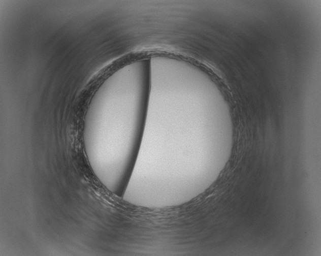 X0000080660872200701121604