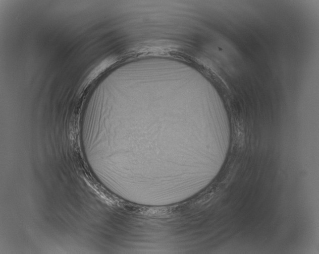 X0000080660874200701121604