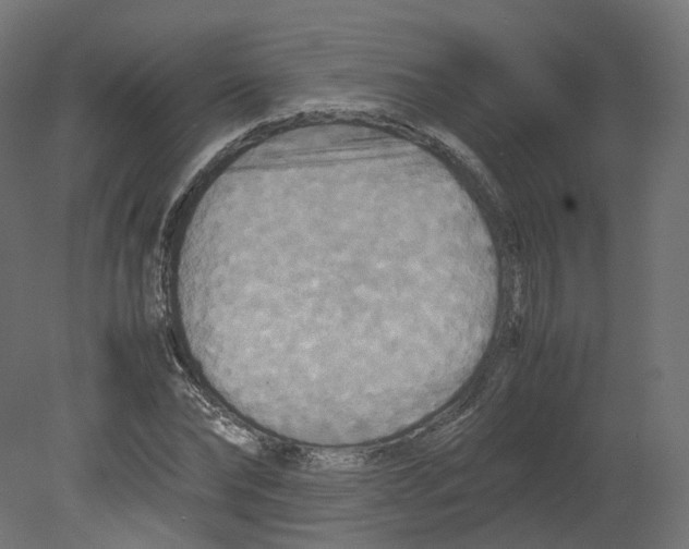 X0000080660878200701121604