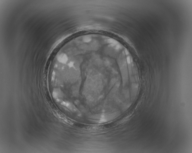 X0000080660879200701121603