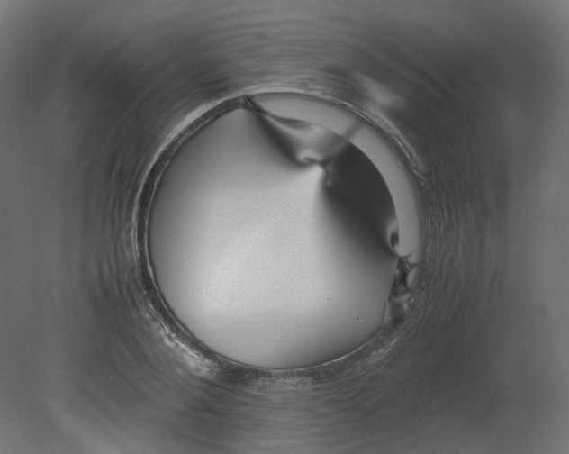 X0000080660884200701121603