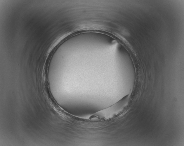 X0000080660885200701121603