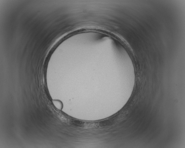 X0000080660887200701121603