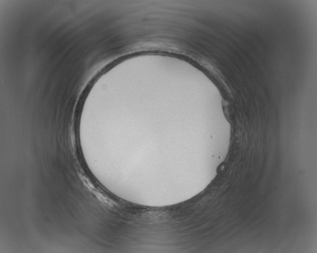 X0000080660888200701121603