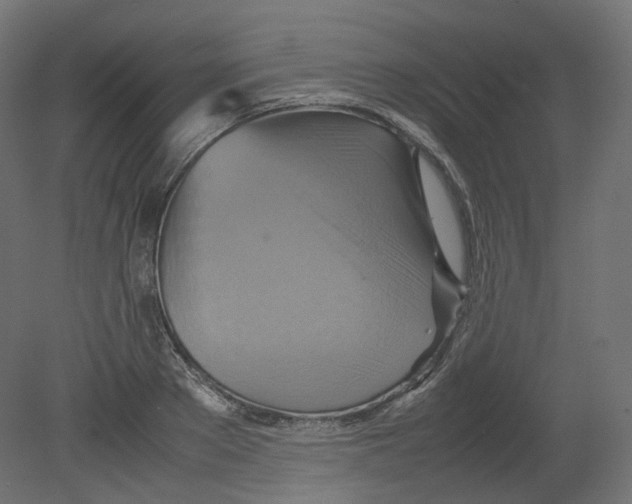 X0000080660889200701121603