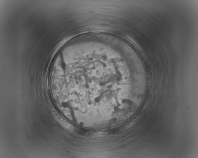 X0000080660891200701121603