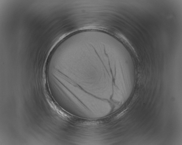 X0000080660892200701121603