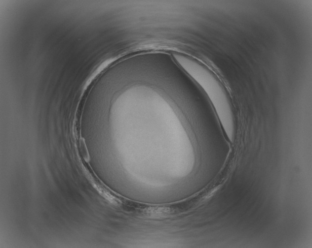 X0000080660893200701121603