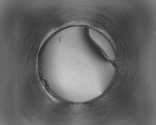 X0000080660894200701121603